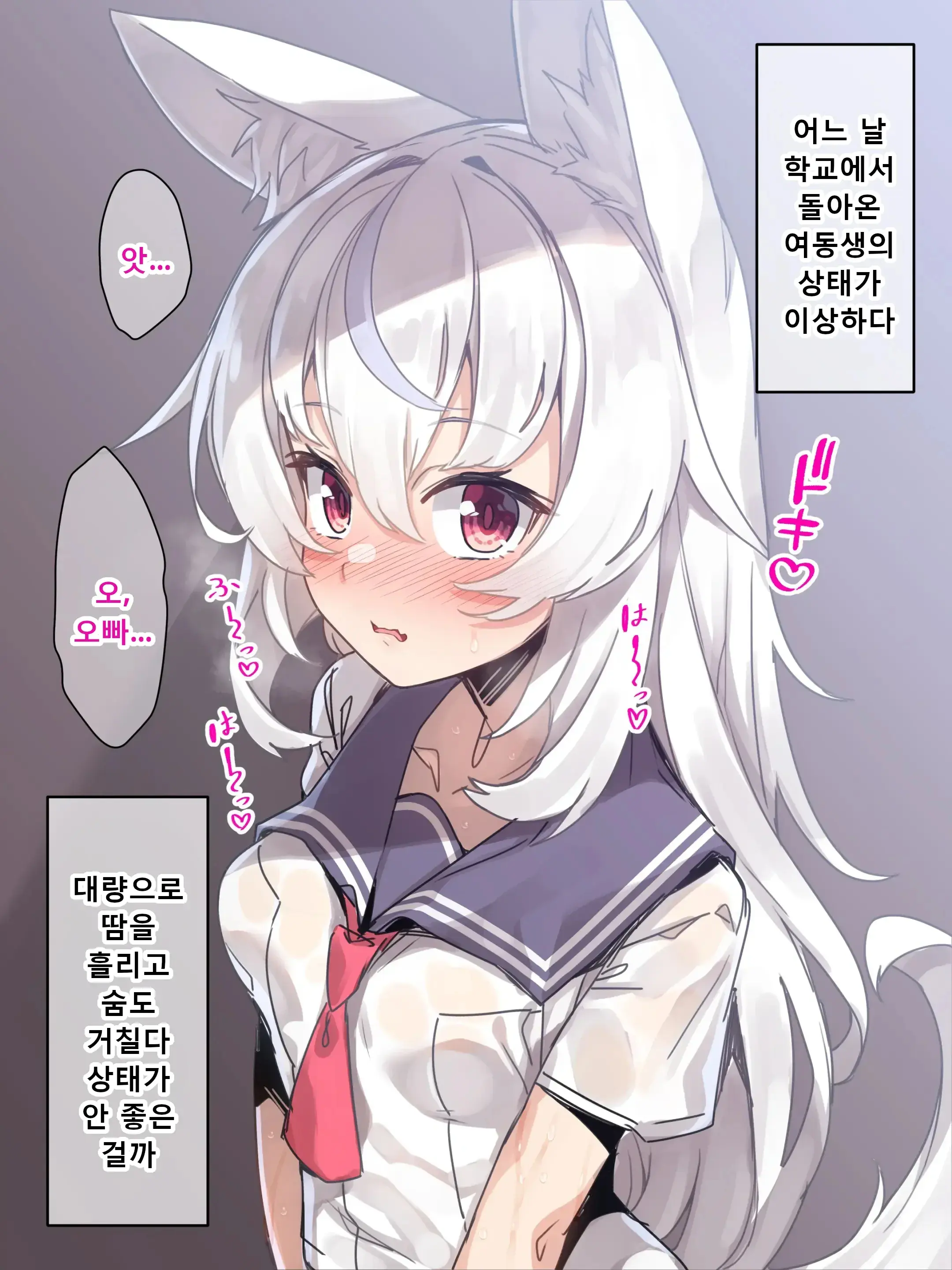 Kemomimi Imouto No Hatsujouki O Osewa Suru No Wa Ani To Shite Touzen Da Yo Ne. | 케모미미 여동생의 발정기를 책임지는 건 오빠로서 당연하잖아